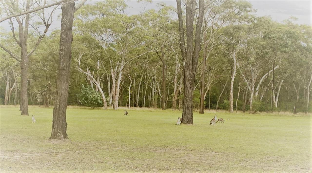Unlax @ Hunter Valley ポーコルビン エクステリア 写真
